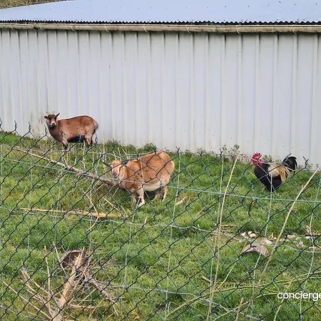 Feriehus La Tremblaie Grange Renovee Avec Vue Campagne - 10 Min Du Puy Dufou