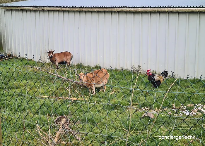 Feriehus La Tremblaie Grange Renovee Avec Vue Campagne - 10 Min Du Puy Dufou